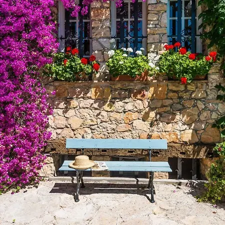 La Provence Villa Antibes